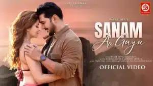 Sanam Aa Gaya Lyrics – Stebin Ben x Payal Dev