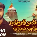 Harigali Kalia Mu Jibana Bajire Lyrics – Sourav Bharadwaj